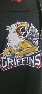 Reebok Men's L Black Hoodie Grand Rapids Griffins Face Off Hockey Pullover - Picture 1 of 8