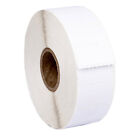 Zebra / Eltron 1X0.5 (1" X 1/2") Direct Thermal Labels - (10) Rolls Of 2430
