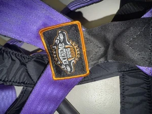 Extreme Dog Gear Hundegewicht Zuggeschirr, Zuggeschirr, Hundezuggeschirr lila - Bild 1 von 4