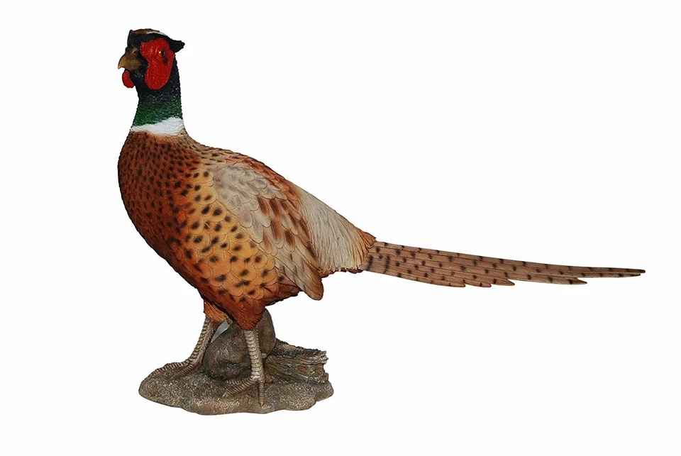 Vivid Arts Real Life Pheasant Highly Detailed Garden Ornament - Image 1 of 1