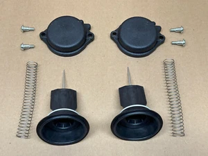 YAMAHA RAPTOR 660 CARBURETOR SLIDES Diaphragms needles springs CARB 🔥FAST SHIP - Bild 1 von 3