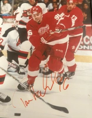 Tomas Holmstrom Autographed 8x10 Photo - Image 1 of 4