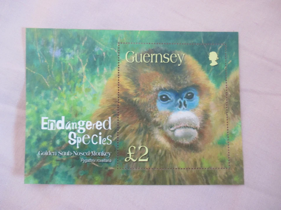 Hoja miniatura de 2 libras de especies en peligro de extinción de Guernsey 2004. Mono nariz desaire dorado. Foto 1 de 1