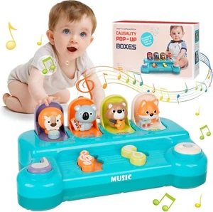 Montessori Pop up Baby Spielzeug ab 6 12 Monate mit Musik Baby Spielzeug 1 Jahr - Bild 1 von 15