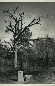 1971 Pressefoto Geisterstadtmarkierungen für Grand Cane & Ironwood in Liberty Co, TX - Bild 1 von 2
