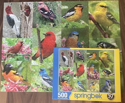 Springbok Jigsaw Puzzle - BIRDS OF A FEATHER - 500+ Pieces - Pre-Owned Complete - Image 1 of 2