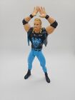 Vintage 1999 Ddp Diamond Dallas Page Wcw Nwo Toy Biz Wrestling Action Figure 7?
