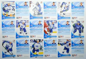 2013-14 KHL Neftekhimik Nizhnekamsk - Pick a Player Card