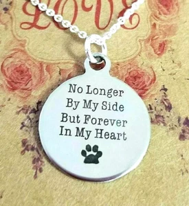 Pet Memorial Necklace Pet Loss Gift Silver Necklace Rainbow Bridge Dog Loss Cat - Picture 1 of 5