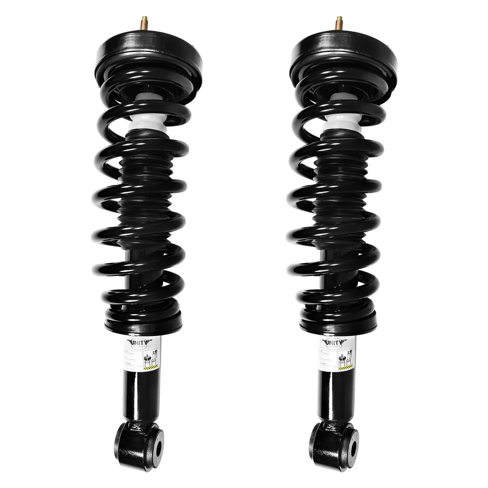Front  Complete Strut Assembly Kit for 2009-2012 Ford F-150 Foto 1 de 1