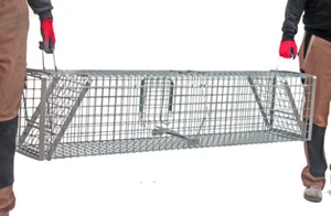 Fuchsfalle Waschbärfalle Kastenfalle Marderfalle Biber Falle 150x34x34 XL - Bild 1 von 2