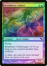 Briarberry Cohort FOIL Shadowmoor Light Play LP MTG Magic the Gathering