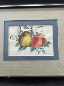 Susan Jones Painting Signed Original fruit butterfly watercolor beautiful - Picture 1 of 13