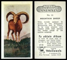 Mountain Sheep #15 Interesting Animals 1954 Neilson's Card