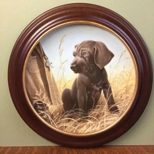 Edwin Knowles Command Performance The Weimaraner Framed Collectible Plate Kaatz - Picture 1 of 6