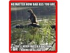Funny Raccoon On Alligator Refrigerator / Tool Box Magnet  Gift Card Insert