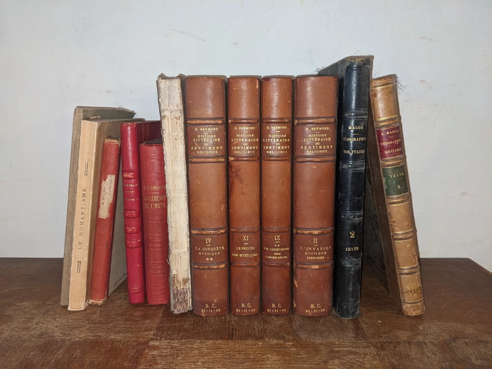 destockage-vide grenier - 1 lot de 12 livres anciens - 12 euros - Photo 1/4