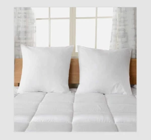 Cheer Collection Set of 2 Decorative Accent Throw Pillows and Insert for Couch - Picture 1 of 4