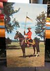 Postcard royal canadian mounted police mountie