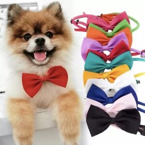 Colours Bow Tie Collar Adjustable Design For Kitten Puppy or Dog Cat Pet