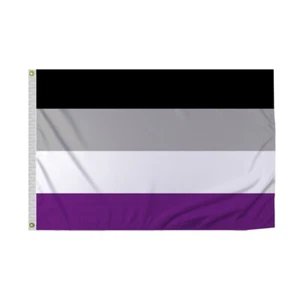 PromoPatriot's Asexual Pride Flagge - Multi-Size LGBTQ Flagge für Pride Celebrations - Bild 1 von 9