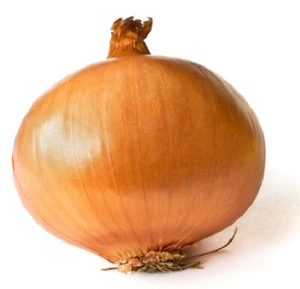 Onion, Walla Walla Sweet Heirloom, Fresh & Non-GMO Seeds  - Picture 1 of 1