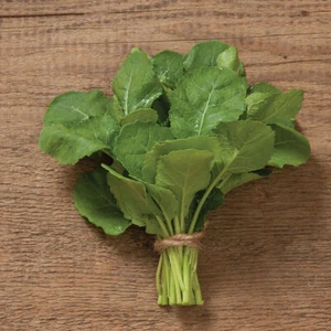 1,000 Ethiopian Kale Seeds Brassica Carinata Non-GMO Heirloom Free Shipping - Picture 1 of 2