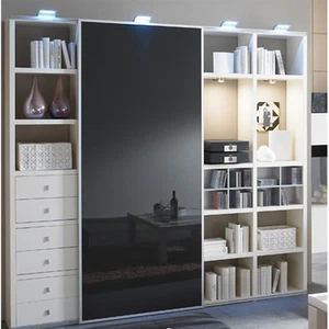 TORO Wohnwand Bücherregal Bibliothek Regal Regalsystem Schiebetür individuell - Bild 1 von 3