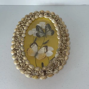 Butterfly Sea Shell Framed Art Vintage - Picture 1 of 9