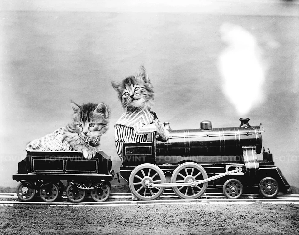KITTEN Photo Picture VINTAGE CAT Train Engine Photograph Print 8x10 or 11x14 - Image 1 of 1