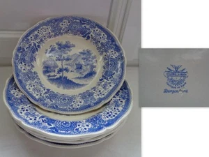 5 ASSIETTES CREUSE VILLEROY BOCH BURGENLAND (LOT N°1) - Picture 1 of 1