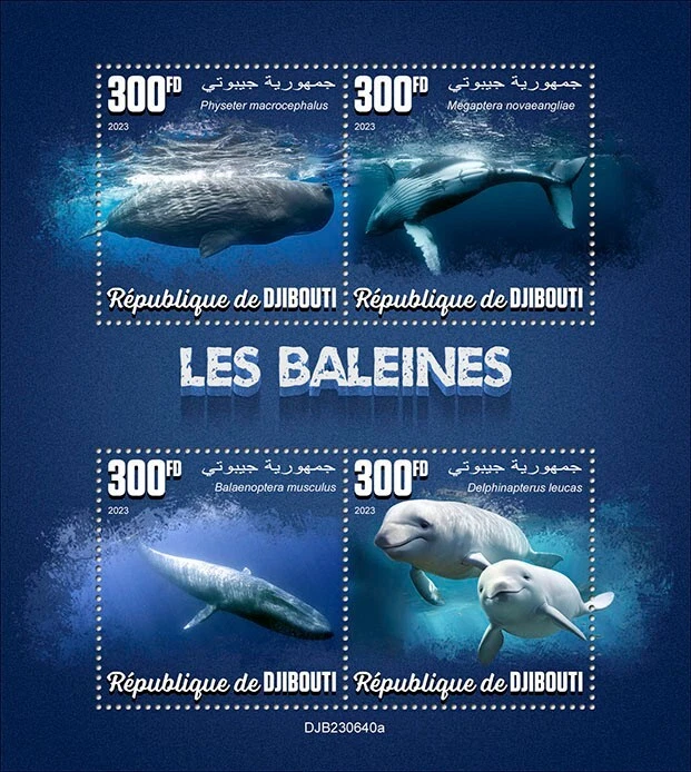 2024 11 - DJIBOUTI - WHALES         4V  complet set    MNH ** - Image 1 of 1