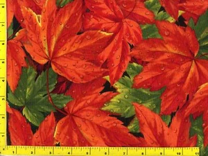 Leuchtend rot & grün Herbst Ahornblätter Meterware CFALEA09730 - Bild 1 von 1