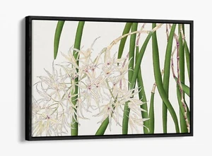 SEIYO SOKA ZUFU, ORCHID WOODBLOCK -FLOAT EFFECT FRAMED CANVAS WALL ART PRINT - Picture 1 of 12