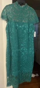 Tadashi Shoji Green Embroidered Lace Sheath Dress NWT  Size 14 Formal - Picture 1 of 1