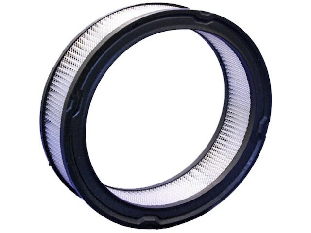 Filtro de aire Bosch 78FH74C para Jeep CJ7 1976-1986 filtro de aire de taller Foto 1 de 1