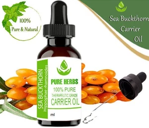 Hierbas puras espino cerval de mar 100 % puro y natural hipopótamo rhamnoides aceite portador DI1 - Imagen 1 de 10
