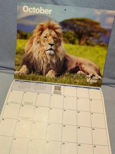 2025-2026 14-month IFAW Colors Of Conservation Wall Calendar Wildlife Photos - Picture 1 of 14