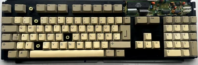 1 Stück Taste •für SAMSUNG Commodore AMIGA 500 Tastaturen•Ersatztaste•AUSWÄHLBAR - Bild 1 von 3