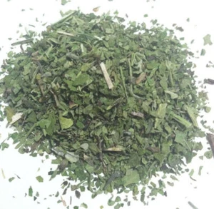 1 oz Catnip (Nepeta cataria) Organic & Kosher USA - Picture 1 of 1