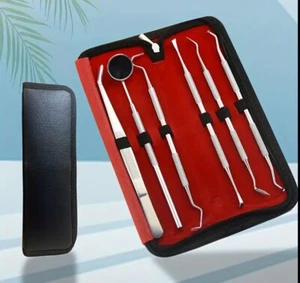 6er Set Zahnreinigung Zahnpflege Zahnarztbesteck Zahnsteinentferner Instrumente - Bild 1 von 12