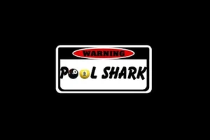 2 Pool Shark Decals 2x4 inches for mcdermott pool players - Picture 1 of 1