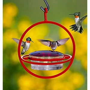 COURONNE HANGING SPHERE GLASS NECTAR HUMMINGBIRD FEEDER WITH PERCH M047-301-R - Picture 1 of 5