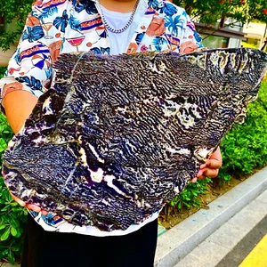 12.08LB Natural agate, zebra stone, crystal mineral, cut and polished in flakes - Bild 1 von 12