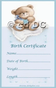 CUTE BLUE BOY BIRTH CERTIFICATE/CERTIFICATES 4 REBORN FAKE BABY approx 7"x 4.5" - Picture 1 of 1