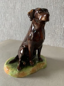 DOG THE CHOCOLATE LABRADOR SEATED ROYALE STRATFORD CHINA PERFECT - Picture 1 of 7