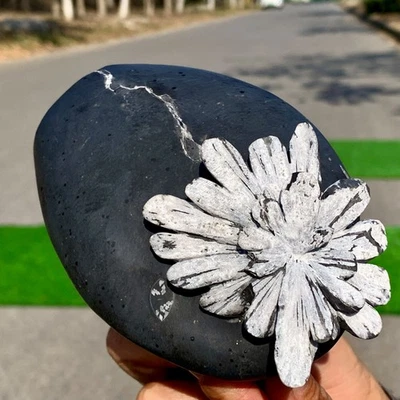 1.79LB Natural chrysanthemum stone quartz carving aura healing gift - Image 1 of 4