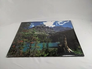 Mountain Lake Vintage Print 16x20" World Pictures Poster New - Picture 1 of 2