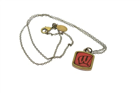 Women's Jewelry Wisconsin Badgers Gold Red Charm Necklace Cover