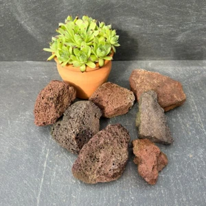 2 kg kleine Lavastein Lava Lavabrocken Aquarium Terrarium rot braun - Bild 1 von 3